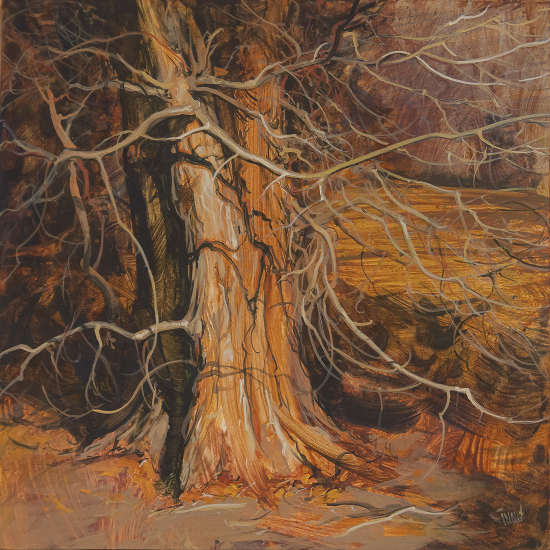 Trunk lit by the sun